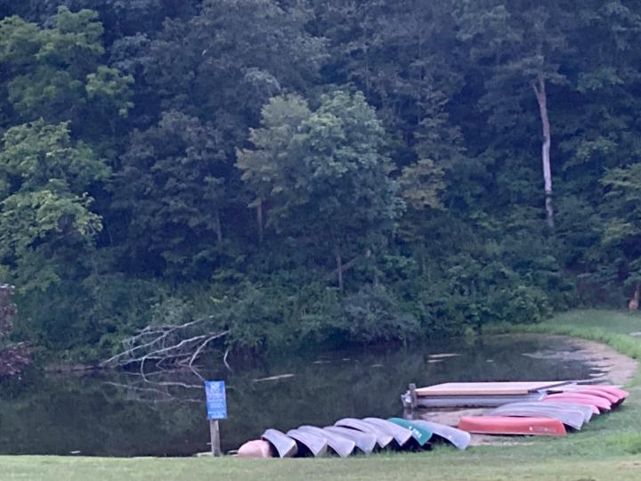Fishing while kiddos swim
