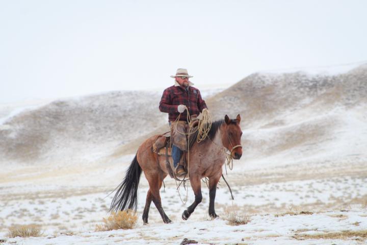 Been a while since I posted anything on here.