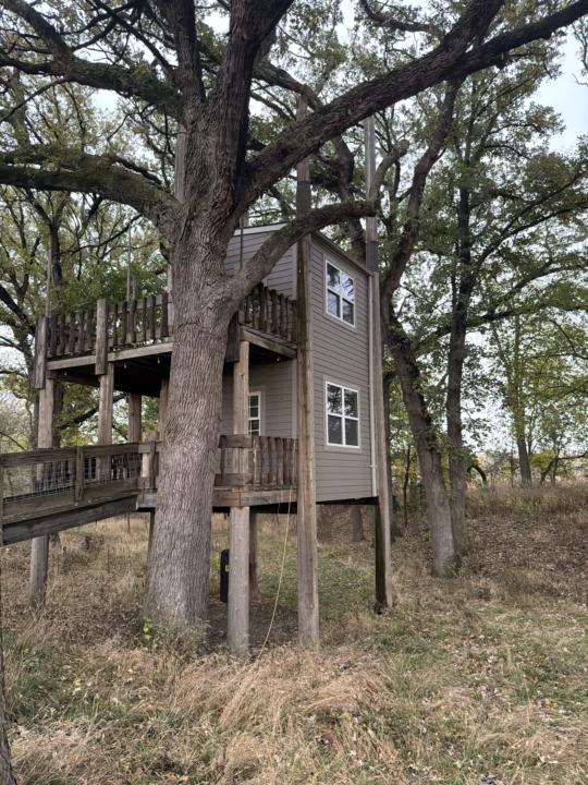 Treehouse Office