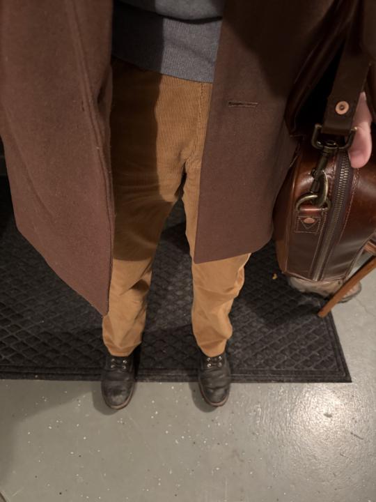 Fall day, I work from a treehouse