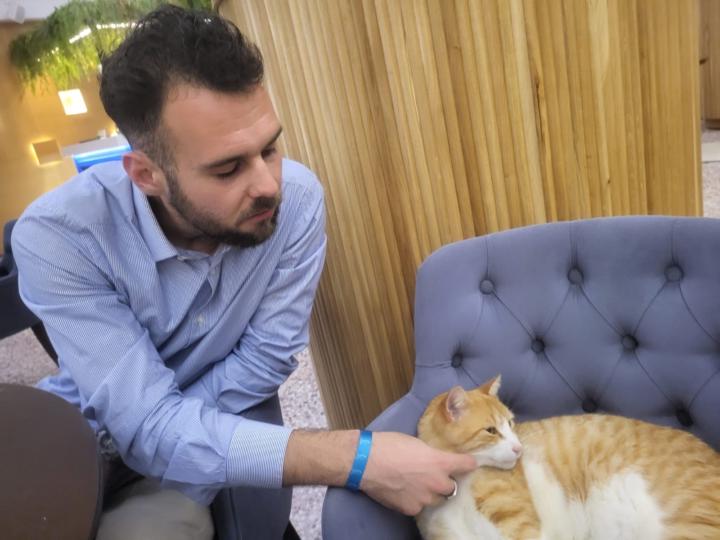 Greetings from Crete 