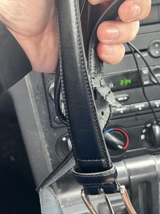 Toasted belt