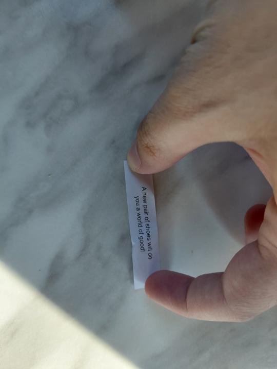 Fashion Fortune Cookie