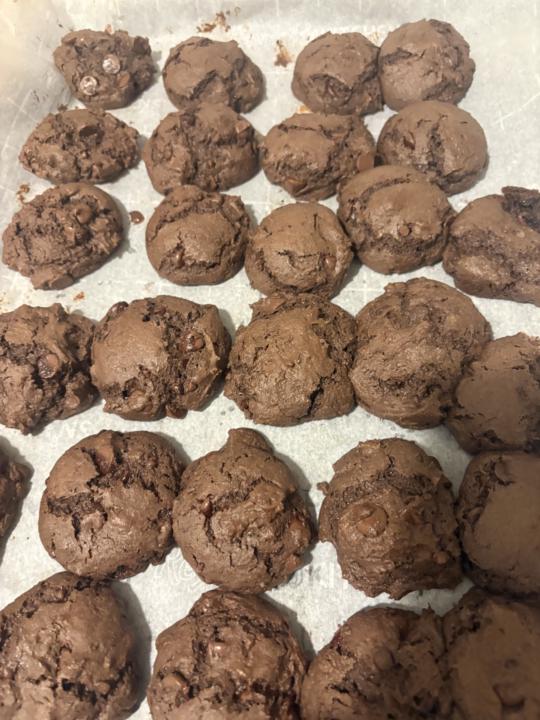 What I made for my students this week