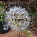 Skool of Authenticity icon