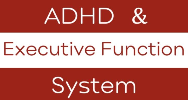 ADHD & Exec Function System