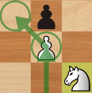 Chess Nerd