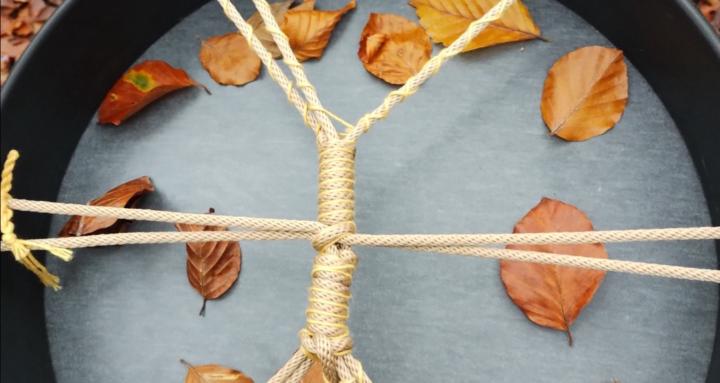 The Medicine Beat Collective