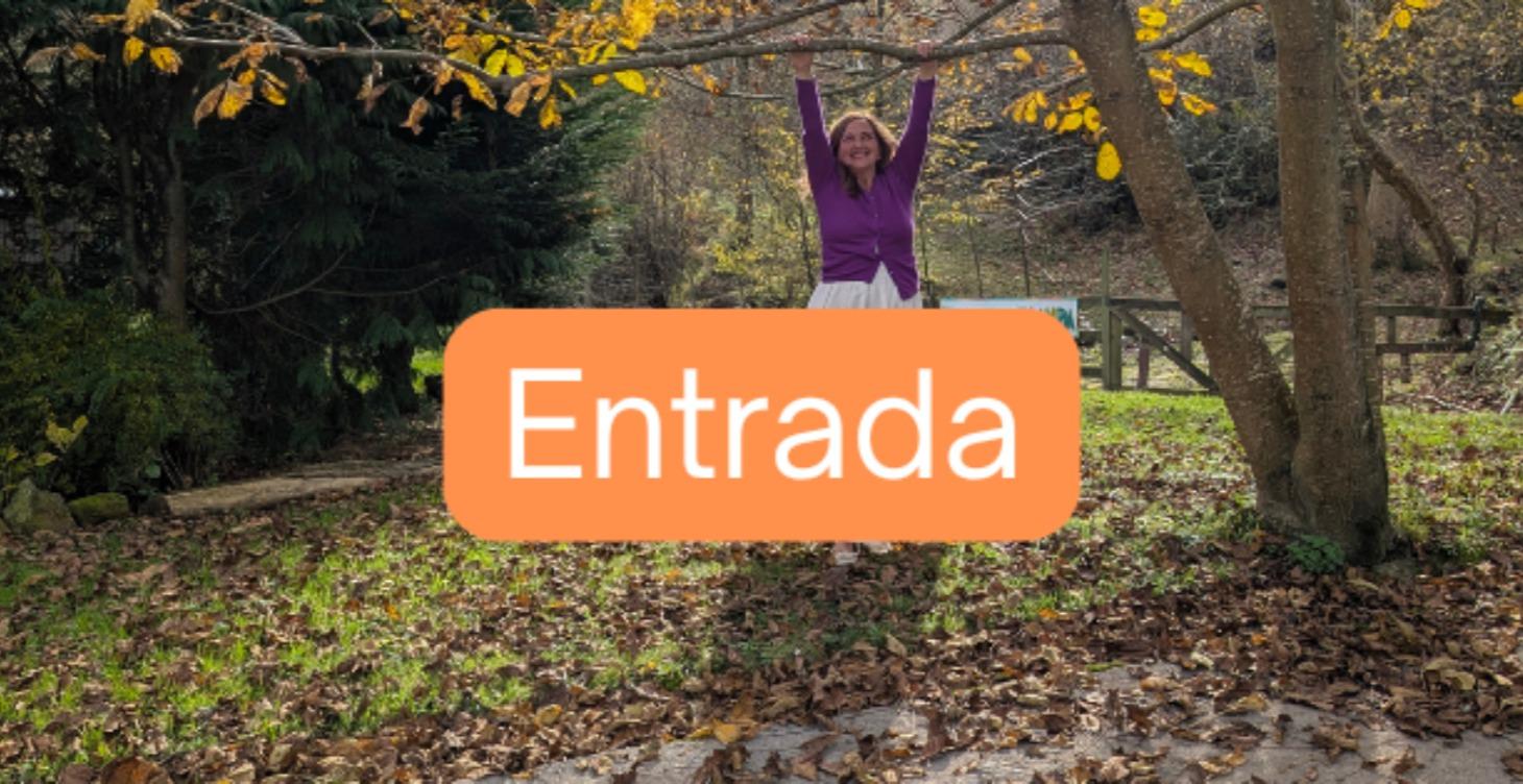 Primeros pasos y cómo aprovechar tu espacio.