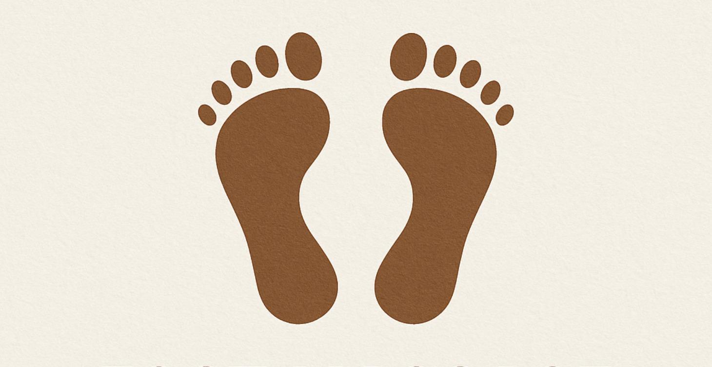 新足部健康法Father Wu’s Precision Reflexology Massage