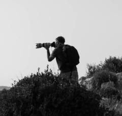 Halconnegro Photography