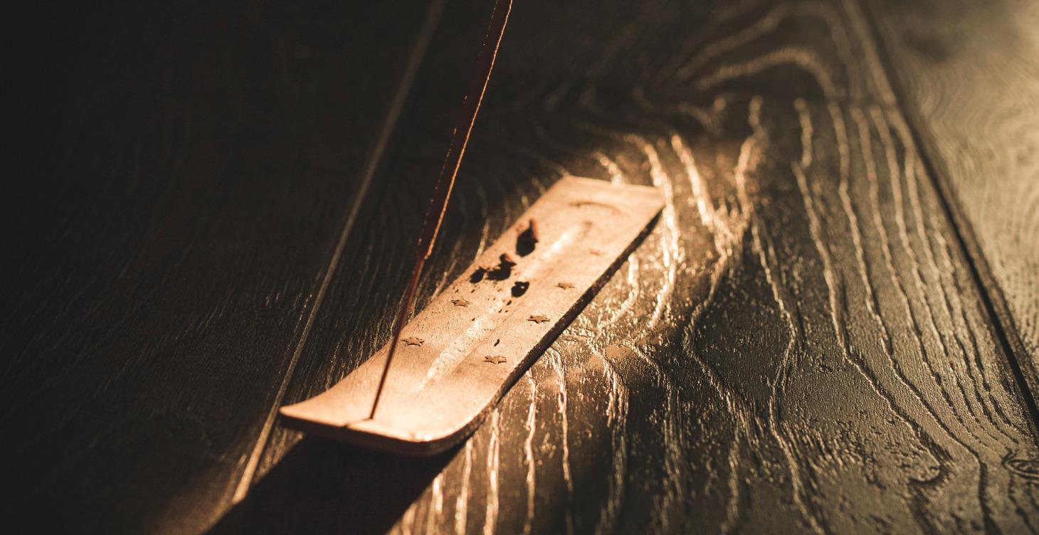 Nervous System Support