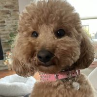 Carolyn Mroz