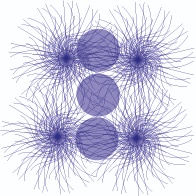 Elisabetta Casartelli