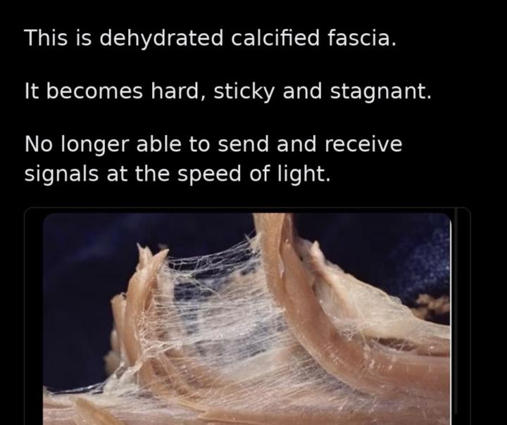The Pure Inner Intelligence of the Fascia 