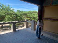 Wang Jing