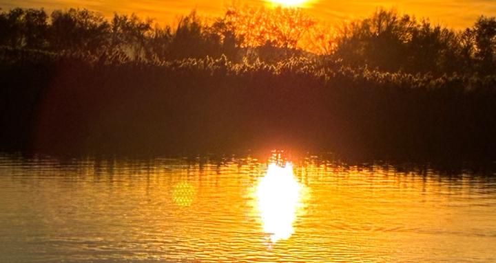 Brooked~Up creations