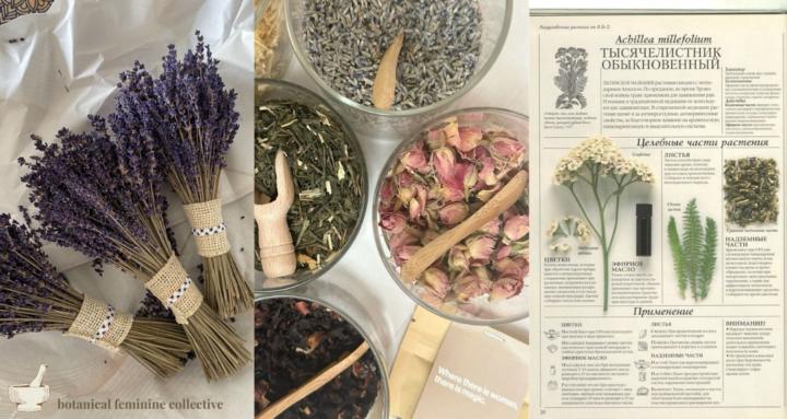 Botanical Feminine Collective