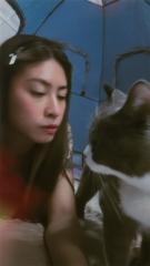 Elvy Lin