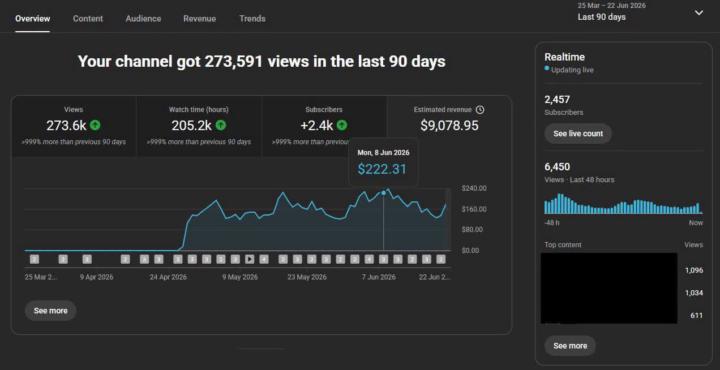 273,000+ Views. 2,400+ Subscribers. $9,000+ Revenue. Just Getting Started.