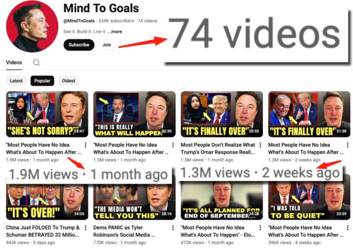 60K/Month with AI Elon Musk Videos   Genius or Crazy? 