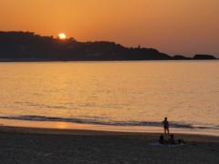 Sandra Grégoire-Roudaut