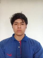 Goshua Micelli Lemanuelle Peña Mena