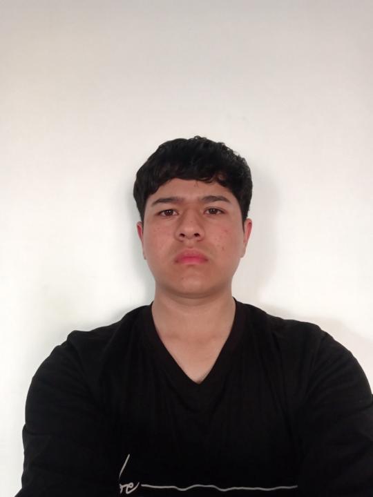 Goshua Micelli Lemanuelle Peña Mena