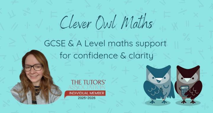 Clever Owl Maths: GCSE/A Level