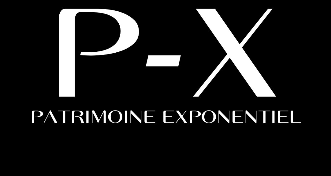 PATRIMOINE EXPONENTIEL - P(X)