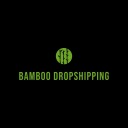 Organic Dropshipping Beginner