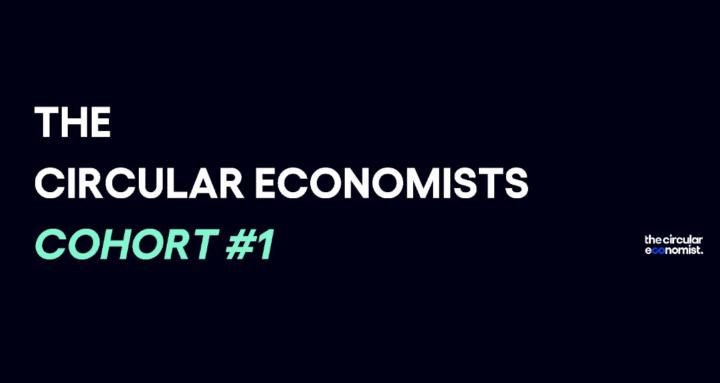 The Circular Economists