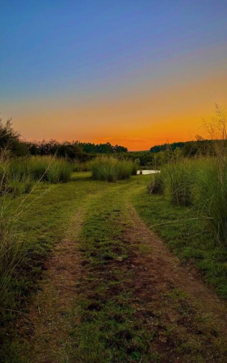Fede Pierini Bordagaray