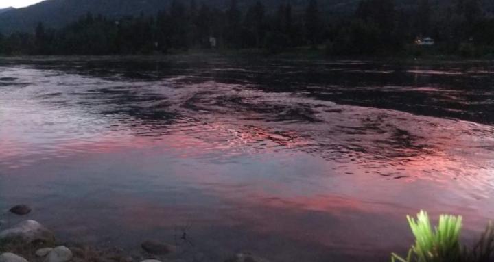 Penny For Your Thoughts