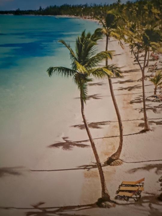 Рени Торбова