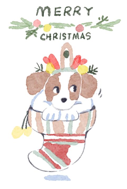 ✨12/19 聖誕襪狗狗 - 直播跟畫