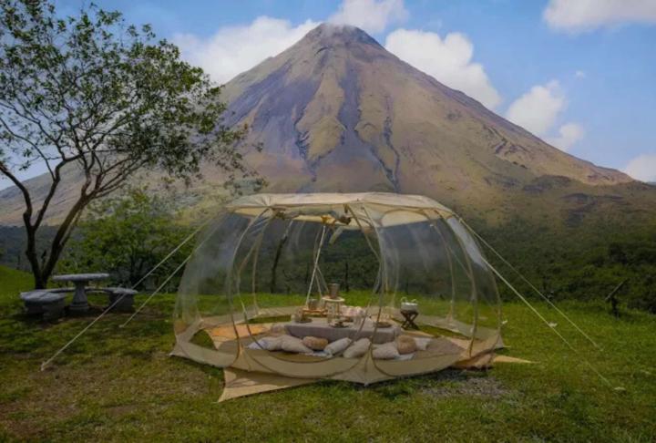 Unique Culinary Experiences