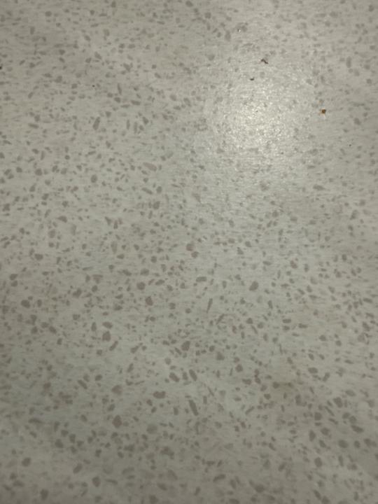 Vivek N