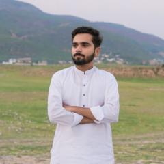 Zai Ul abideen