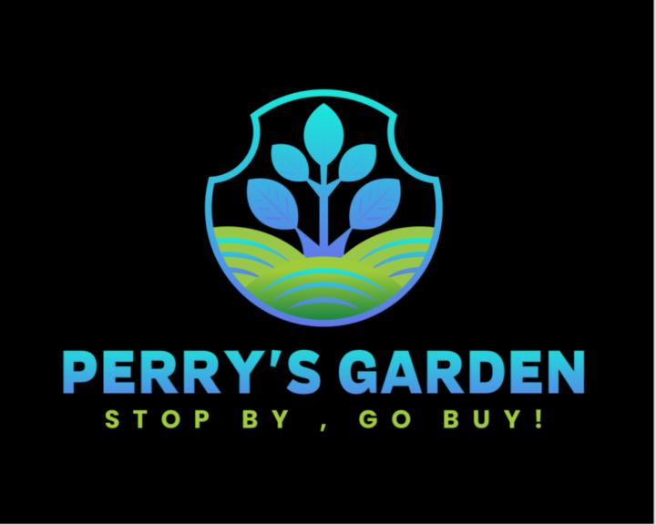 My store is gaining traffic and now it’s the next step thank you community for just being great people!!!