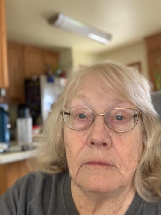 Karen VanLandingham