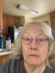Karen VanLandingham
