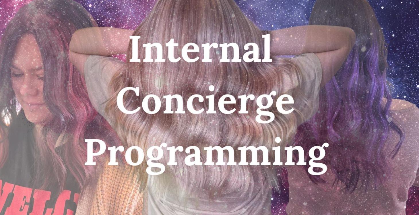 Internal Concierge Programing