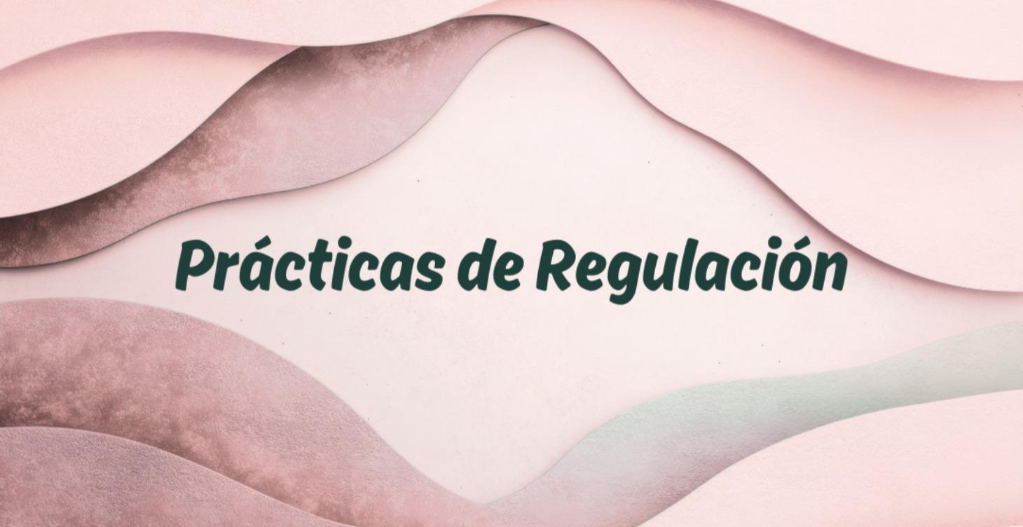 Prácticas de Regulación