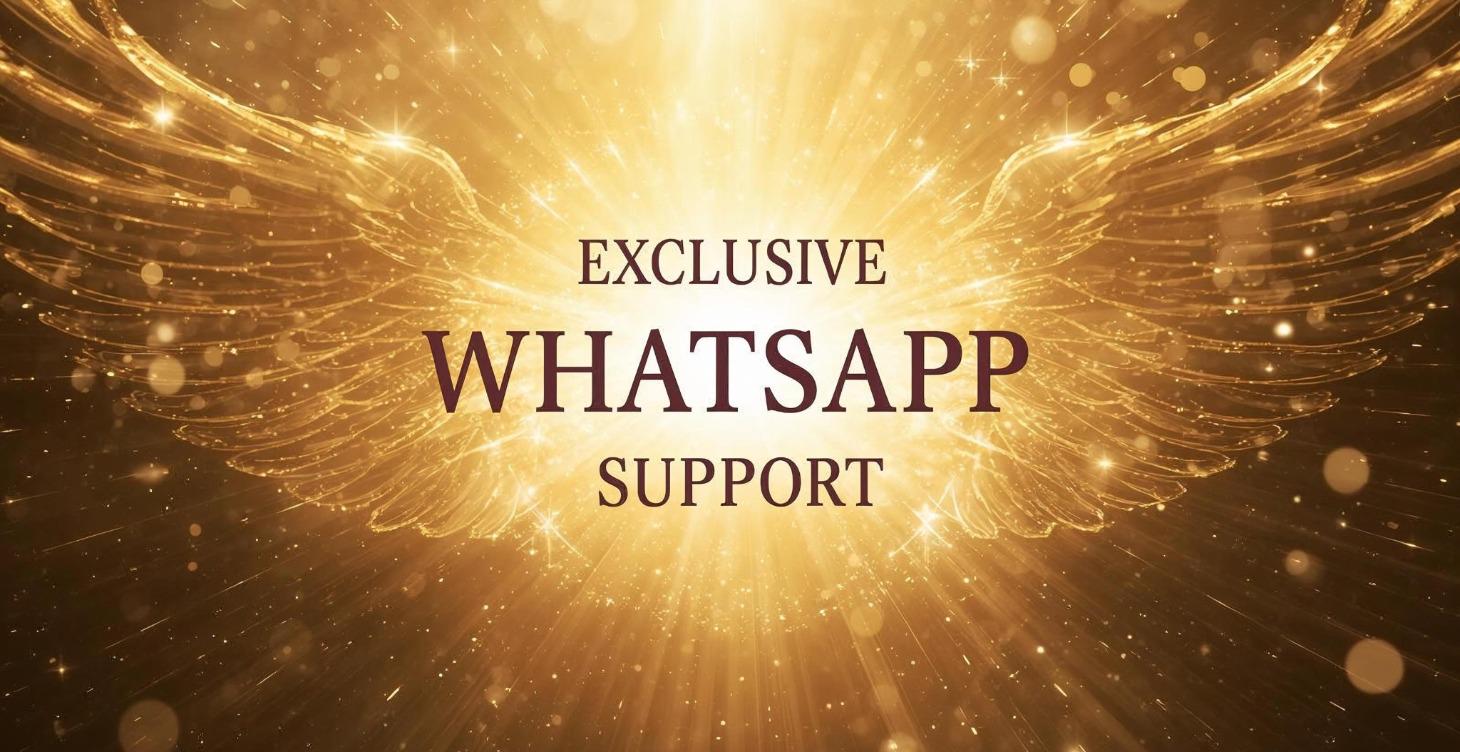 Exclusive WhatsApp access for ongoing support✨️