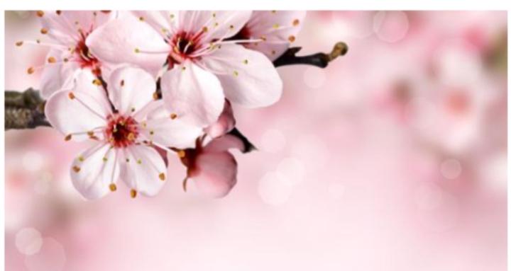 I'm Every Woman Community Inc