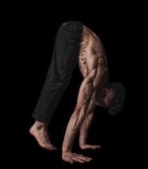 Gwihun Choi