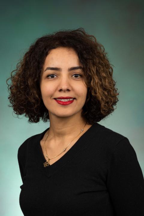Marzieh Nodeh