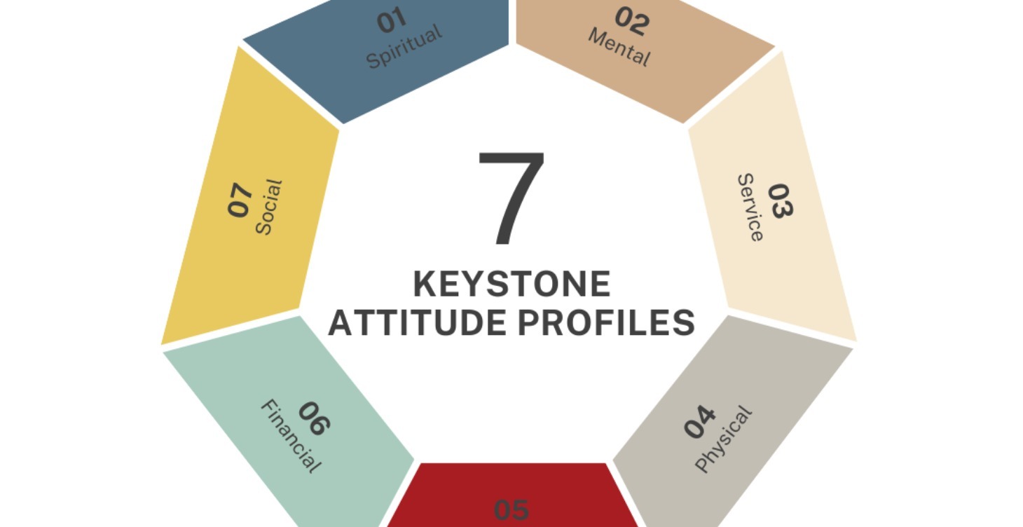 Attitude Indicator Assesment