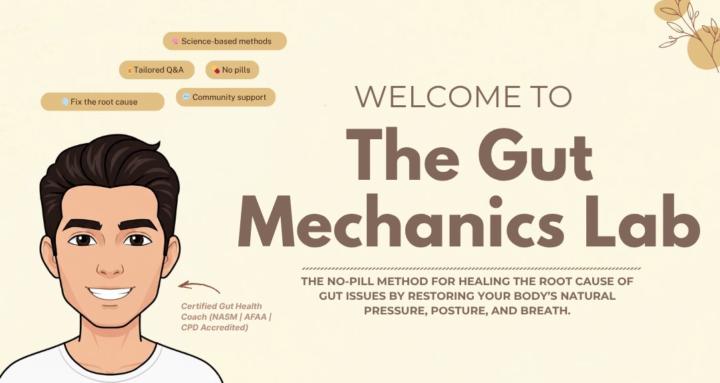 The Gut Mechanics Lab